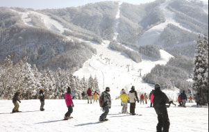 スキージャム勝山